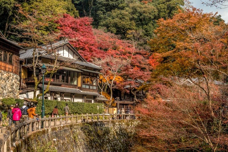 🏞️ 미노 공원(미노오 코엔) 이미지 5